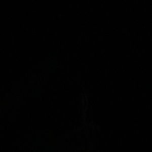 Meet your Posher, Isaiah